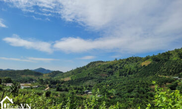 4833 hop phong cao phong hoa binh 1