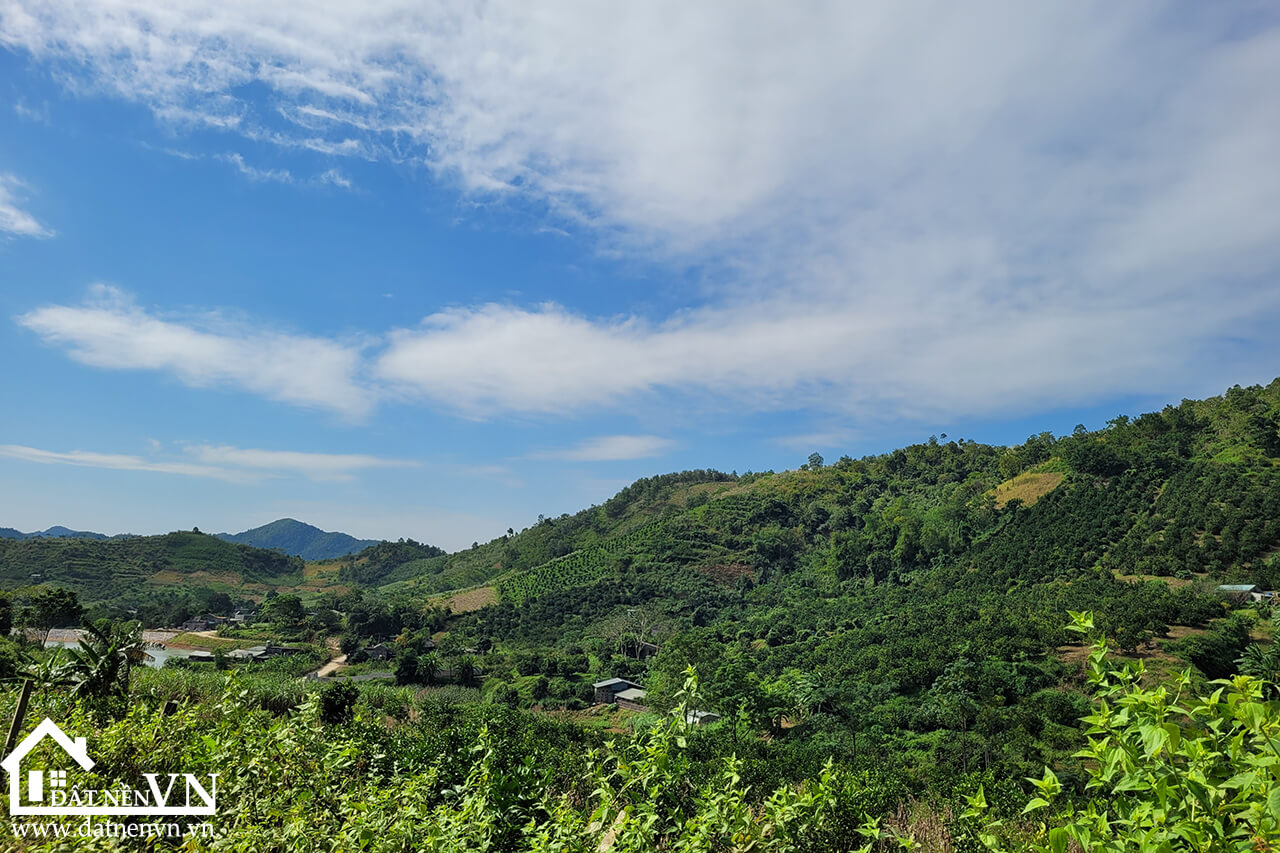 4833 hop phong cao phong hoa binh (1) 4833 hop phong cao phong hoa binh 1