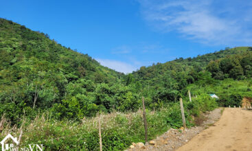 4833 hop phong cao phong hoa binh 2