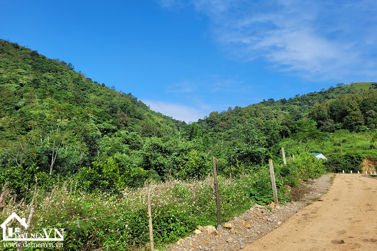 4833 hop phong cao phong hoa binh (2) 4833 hop phong cao phong hoa binh 2