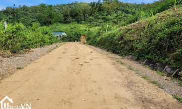 4833 hop phong cao phong hoa binh 3