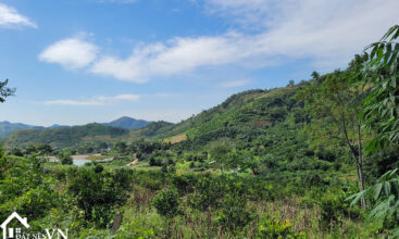 4833 hop phong cao phong hoa binh 5