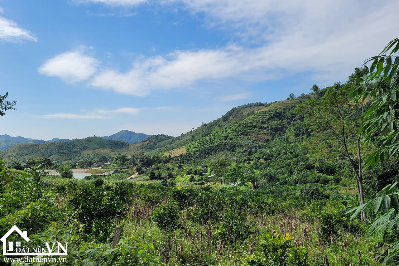 4833 hop phong cao phong hoa binh (5) 4833 hop phong cao phong hoa binh 5