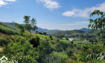 4833 hop phong cao phong hoa binh 7