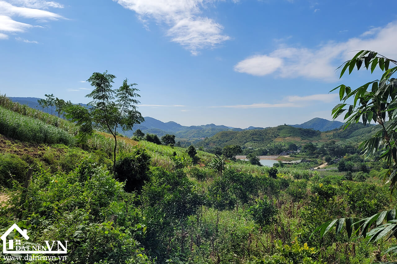 4833 hop phong cao phong hoa binh (7) 4833 hop phong cao phong hoa binh 7