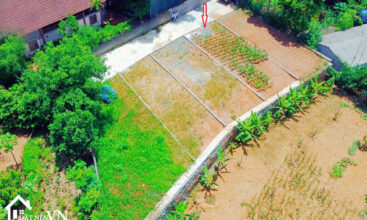 141m2 dat tien xuan thach that 1