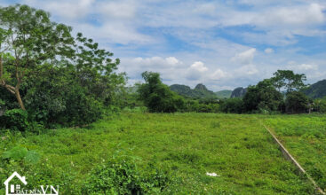 1130m2 doan ket yen thuy dat bam ho 5
