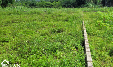 1130m2 doan ket yen thuy dat bam ho 6