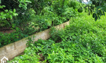 1130m2 doan ket yen thuy dat bam ho 7