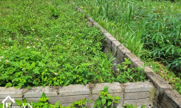 1130m2 doan ket yen thuy dat bam ho 8