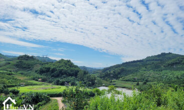 7562 Tay Phong Hoa Binh 4