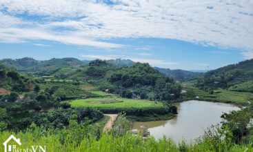 7562 Tay Phong Hoa Binh 5