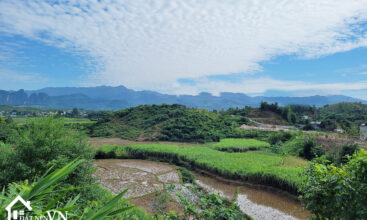 7562 Tay Phong Hoa Binh 6