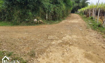 Lo Dat 6337m2 My Hoa Tan Lac 5