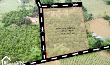 Lo Dat 6337m2 My Hoa Tan Lac 6