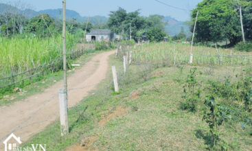 lo dat 2000m2 my hoa Tan Lac 1