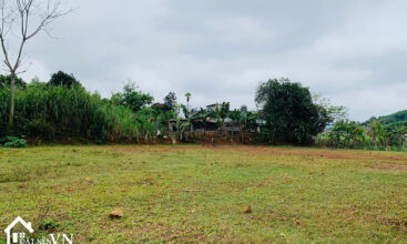 lo dat 2000m2 my hoa Tan Lac 6