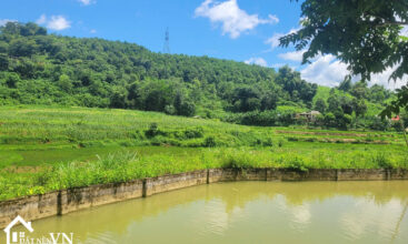 1263m2 xom Khanh Phu Cuong 1