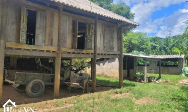 1263m2 xom Khanh Phu Cuong 6