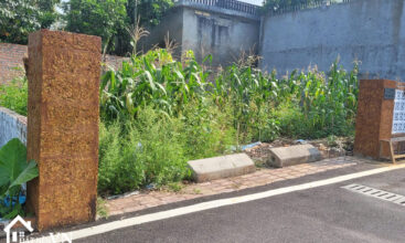 125 Phu Gia Phu Man Quoc Oai 5