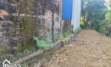 132 HOA THACH QUOC OAI 1