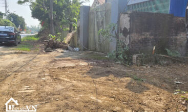 132 HOA THACH QUOC OAI 2