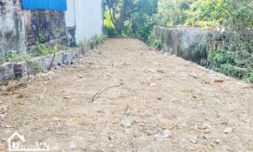 132 HOA THACH QUOC OAI 4