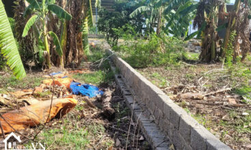 138 thon 4 phu cat 4