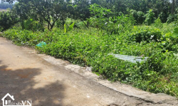 159 thon 5 phu cat 1