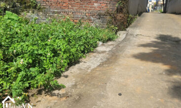 159 thon 5 phu cat 2