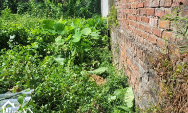 159 thon 5 phu cat 3