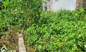 159 thon 5 phu cat 5