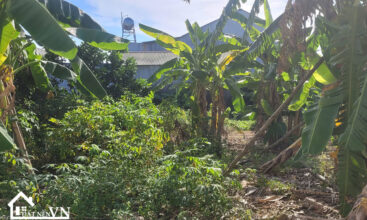 209 Thon 5 Phu Cat 1