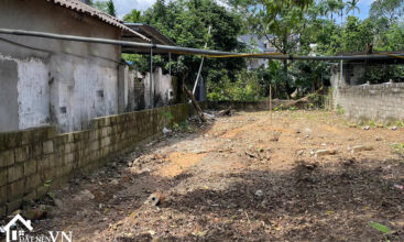 213 Dong Vang Phu Man 1