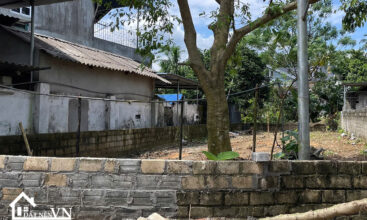 213 Dong Vang Phu Man 2