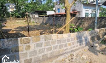 213 Dong Vang Phu Man 5