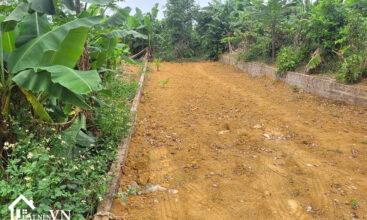 105 Hoa Truc Hoa Thach 1