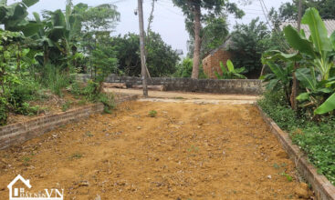 105 Hoa Truc Hoa Thach 2