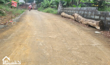 105 Hoa Truc Hoa Thach 3