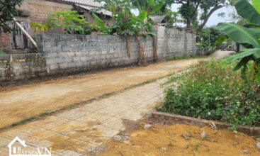 105 Hoa Truc Hoa Thach 4