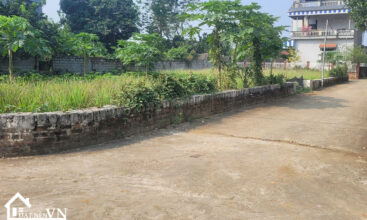 450 Hoa Truc Hoa Thach 1