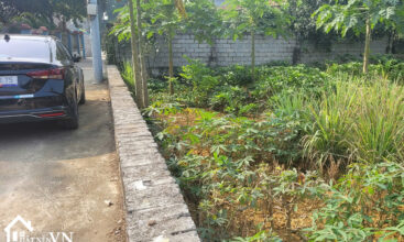 450 Hoa Truc Hoa Thach 2