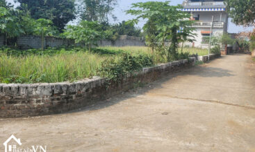 450 Hoa Truc Hoa Thach 4