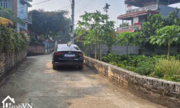 450 Hoa Truc Hoa Thach 5