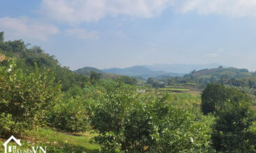 3913 Thu Phong Cao Phong Hoa Binh 1