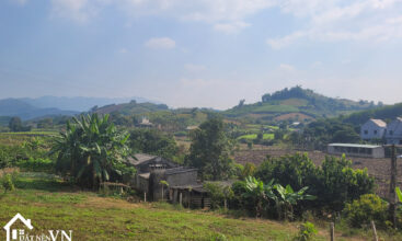 3913 Thu Phong Cao Phong Hoa Binh 3