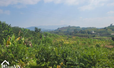 3913 Thu Phong Cao Phong Hoa Binh 6