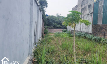 162m2 Hoa Truc Hoa Thach 2