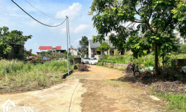 178 Hoa Truc Hoa Thach 1