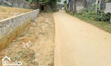 263 Luong Lat Yen Trung 3